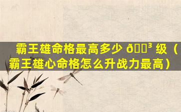 霸王雄命格最高多少 🐳 级（霸王雄心命格怎么升战力最高）